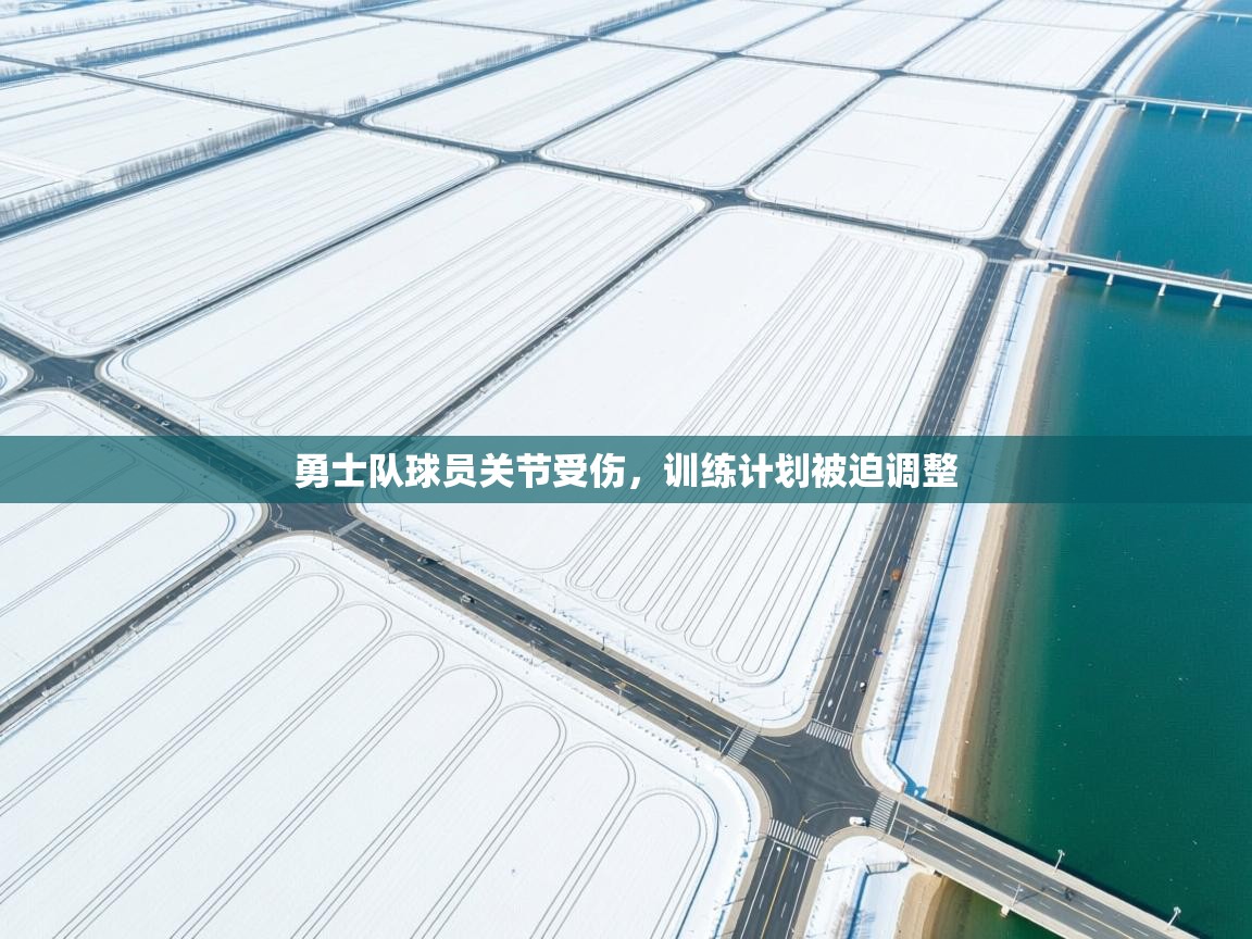 勇士队球员关节受伤,训练计划被迫调整 第1张