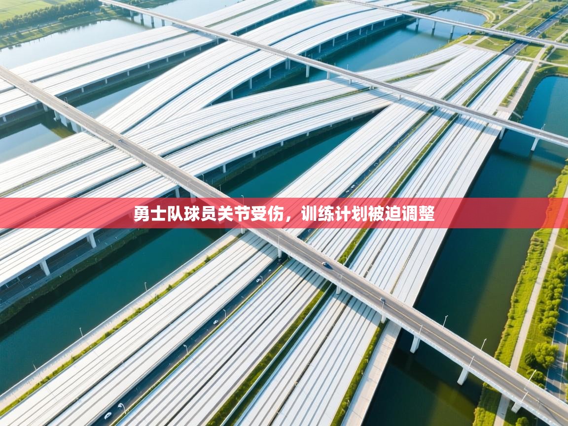 勇士队球员关节受伤,训练计划被迫调整 第2张