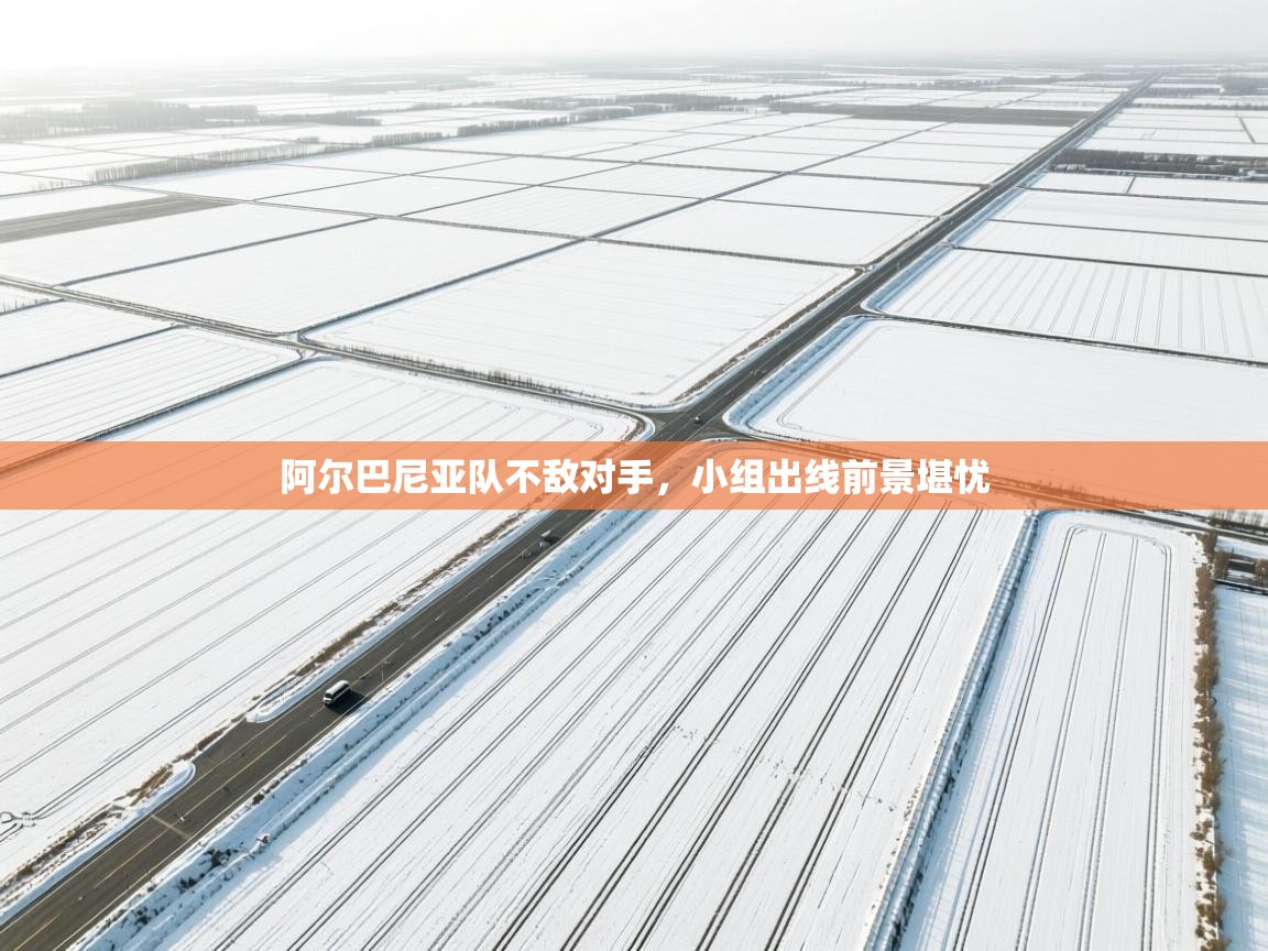 阿尔巴尼亚队不敌对手，小组出线前景堪忧  第1张