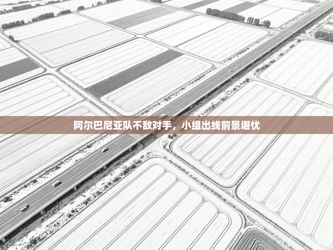 阿尔巴尼亚队不敌对手，小组出线前景堪忧  第2张