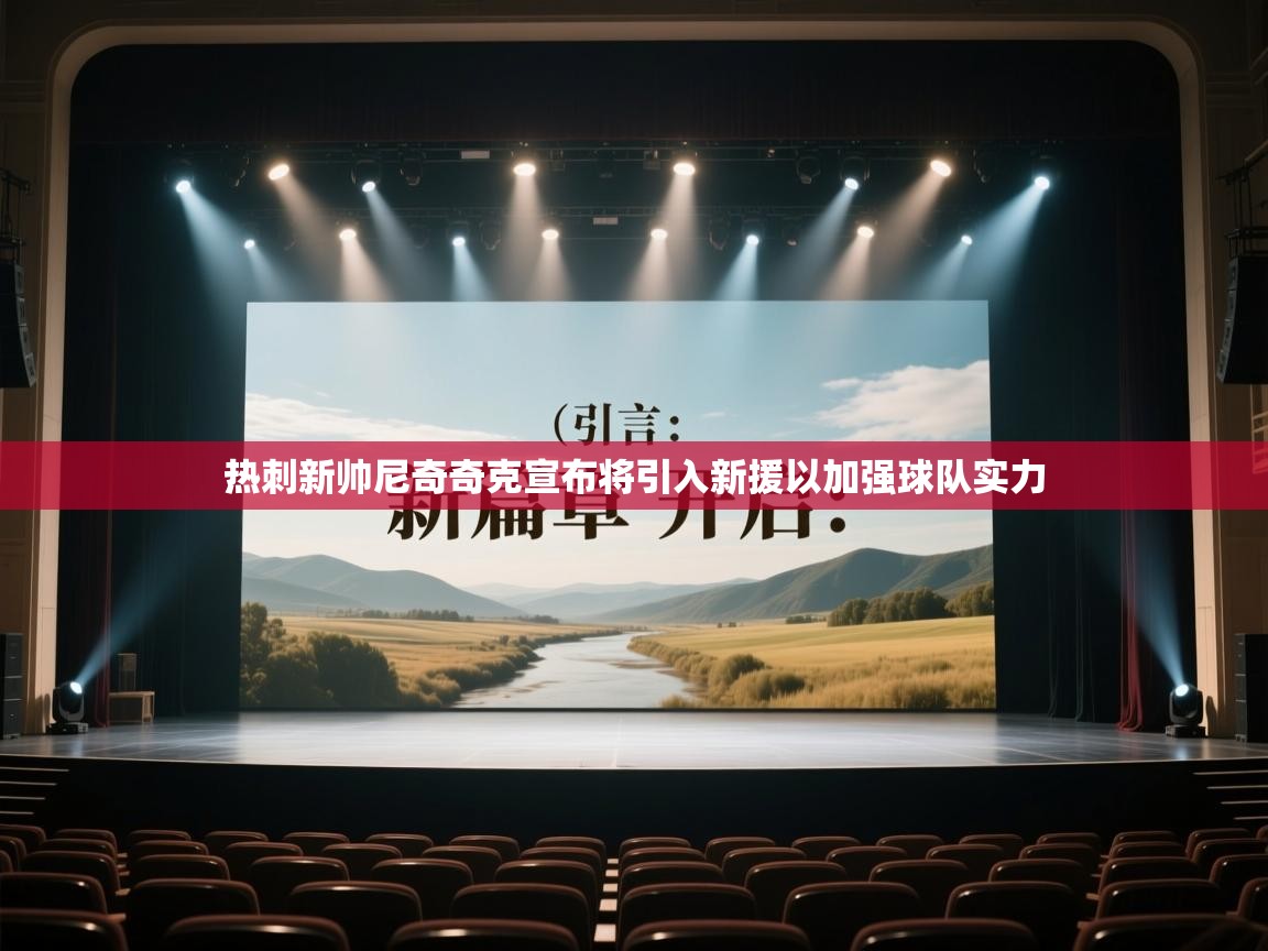 热刺新帅尼奇奇克宣布将引入新援以加强球队实力 第2张