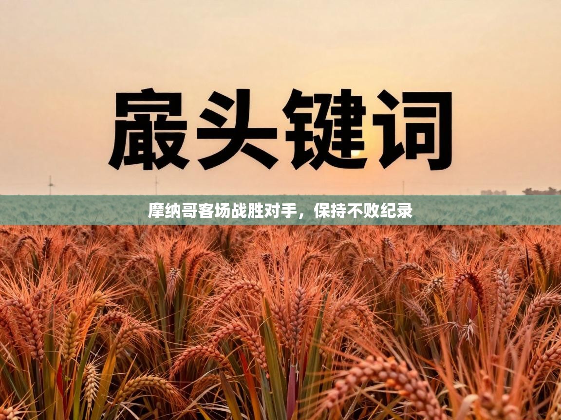 摩纳哥客场战胜对手，保持不败纪录  第2张